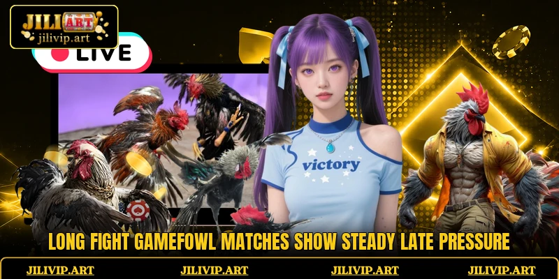 Long Fight Gamefowl matches show steady late pressure